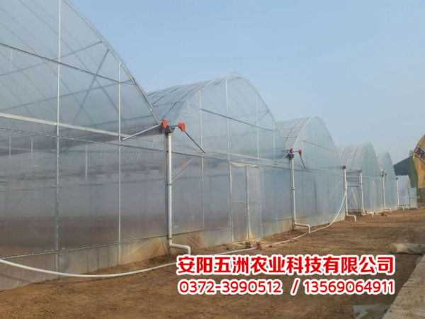 連棟大棚 連棟大棚