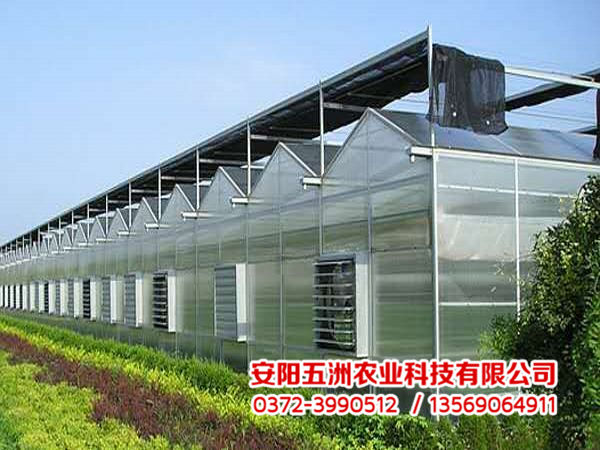 連棟大棚 連棟大棚