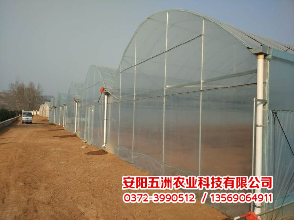 連棟大棚 連棟大棚