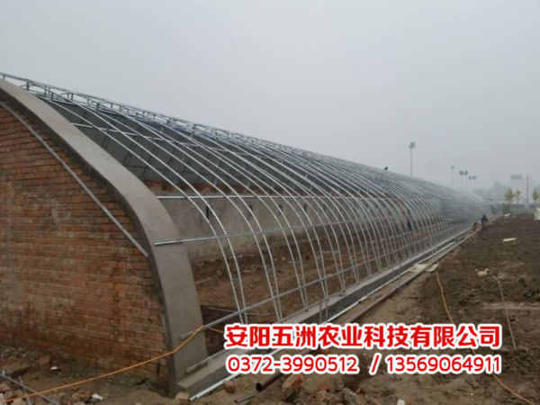 溫室大棚 溫室大棚