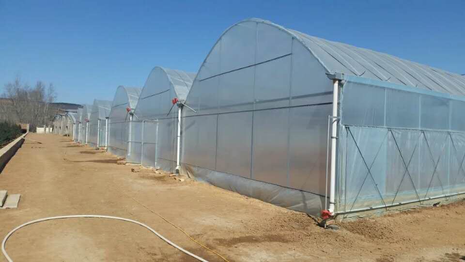 連棟大棚 連棟大棚