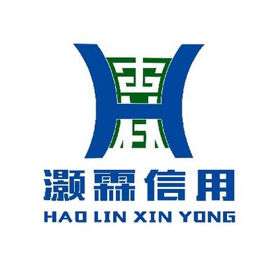 湖南省灝霖信用服務(wù)信息技術(shù)咨詢服務(wù) 專業(yè)賦能，信達(dá)未來(lái)